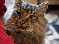 Lisa and Hermes night DS couch P2030450  Lisa holds Hermes